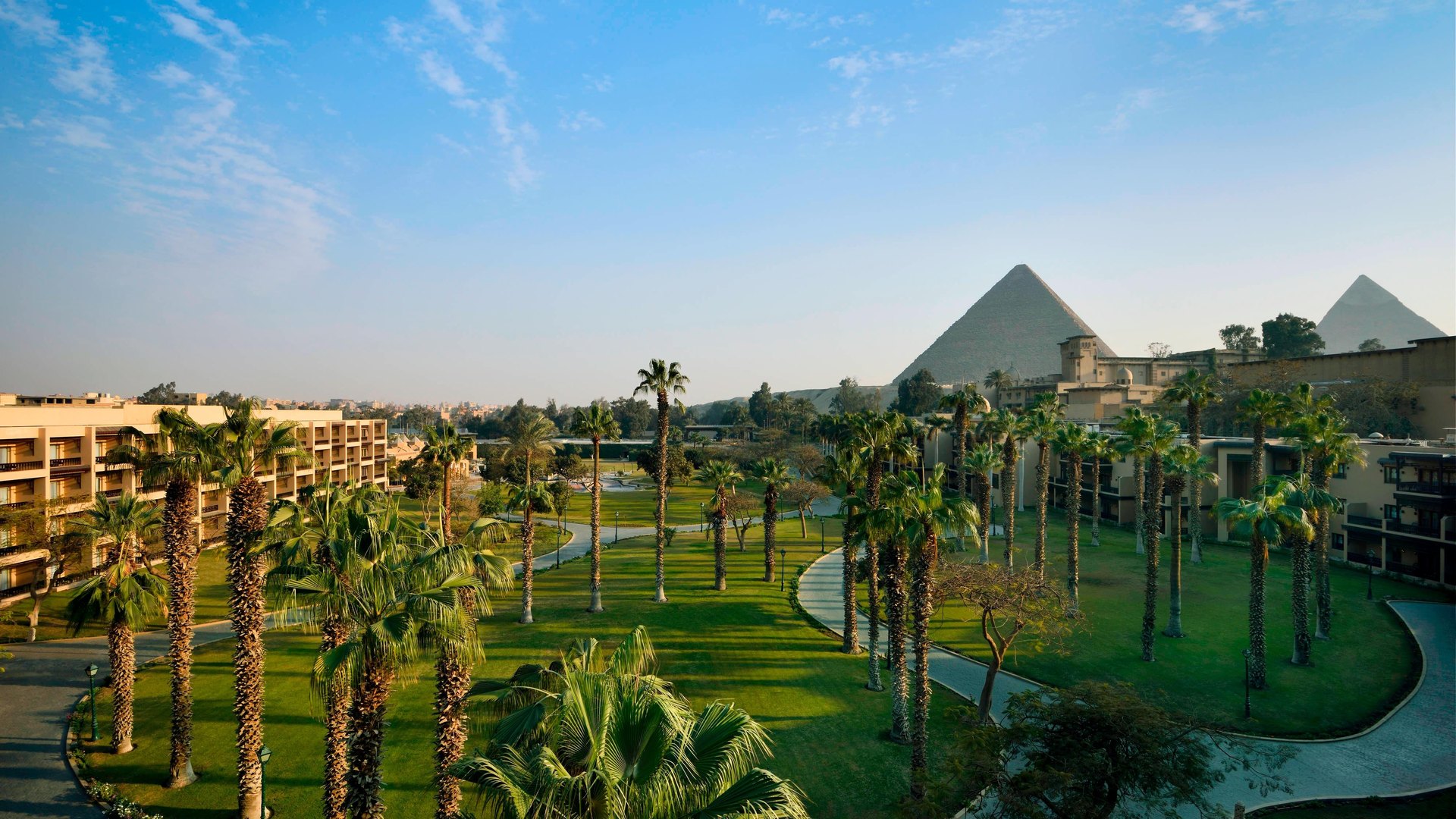 The palm gardens of Mena House in the morning, with the Great Pyramid and Khafre beyond